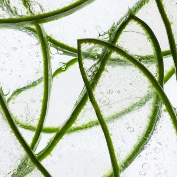 Anti-Age hydrogel oogpatches